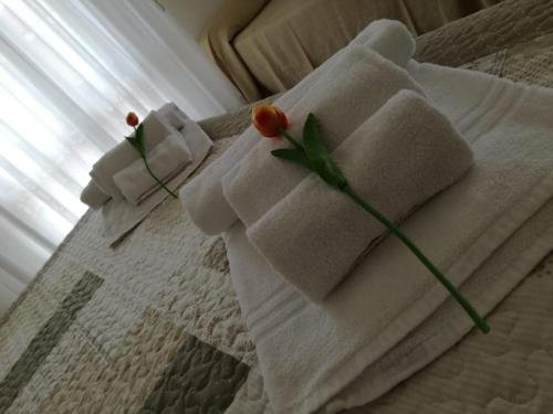 Фото Hotel Giulia