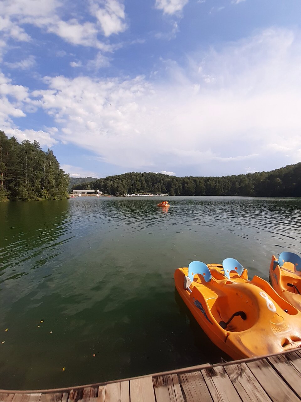 Фото Берёзка