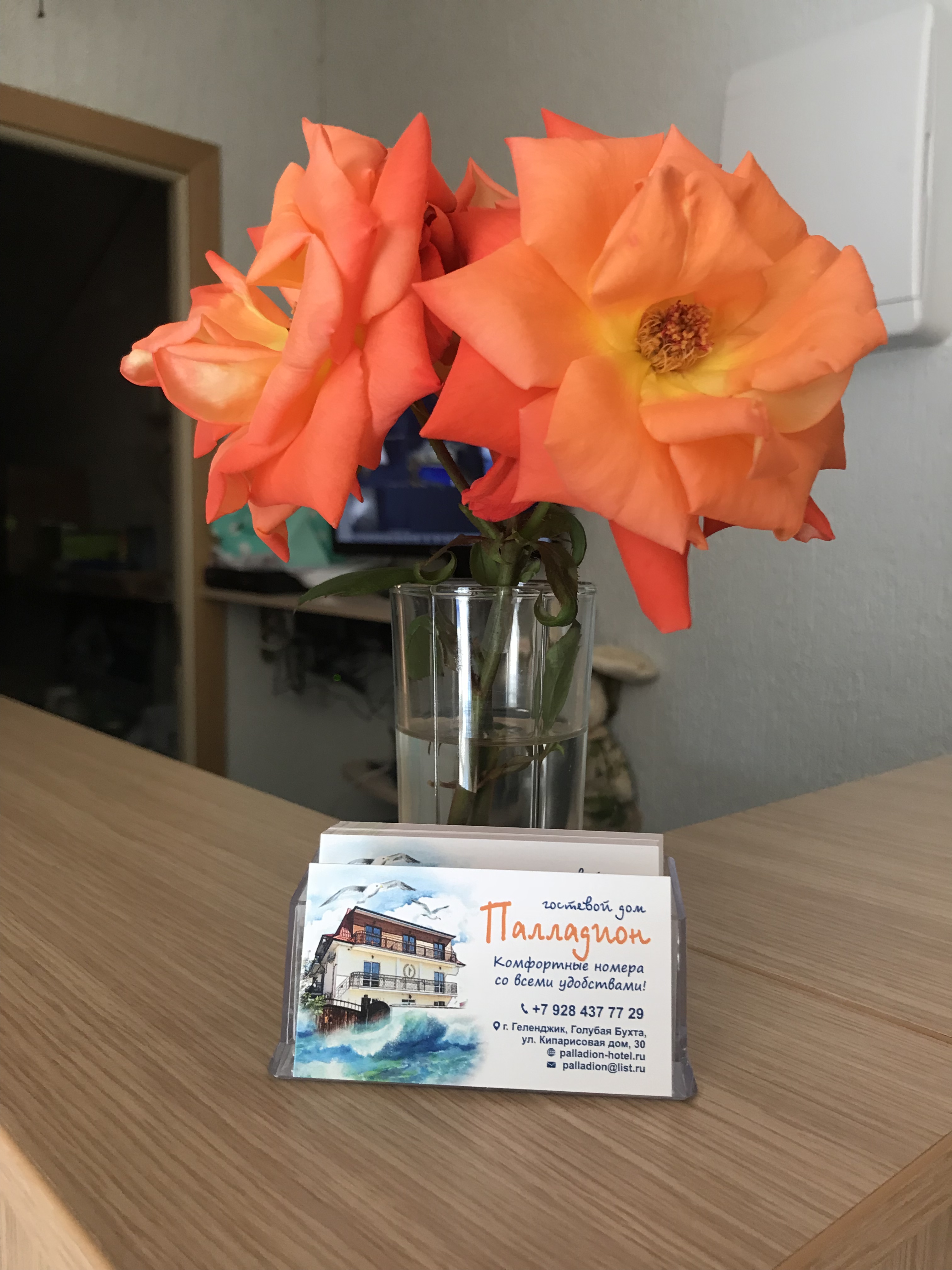 Фото Палладион