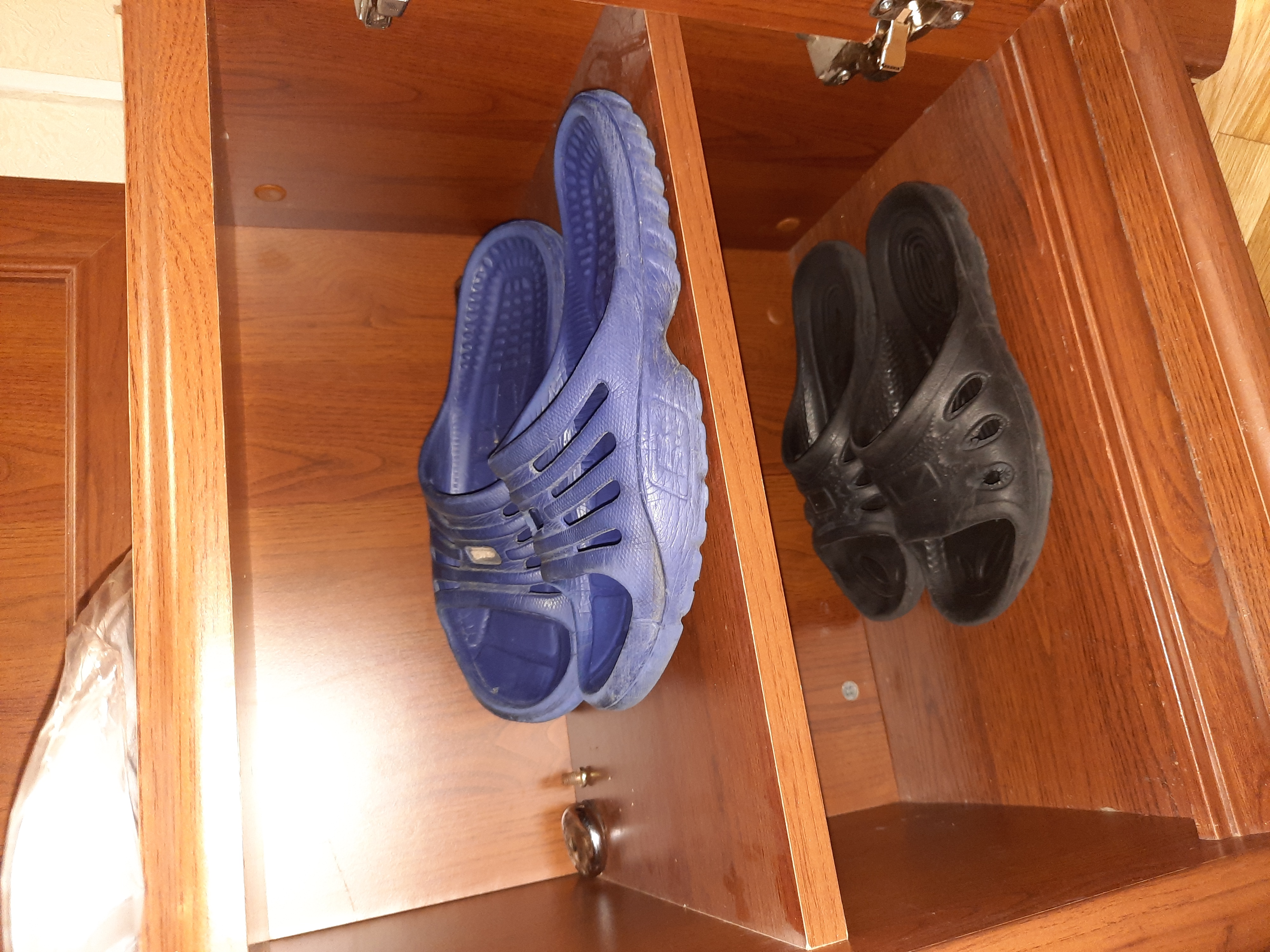 Фото Вероника