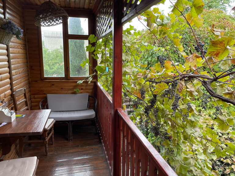 Фото Триера