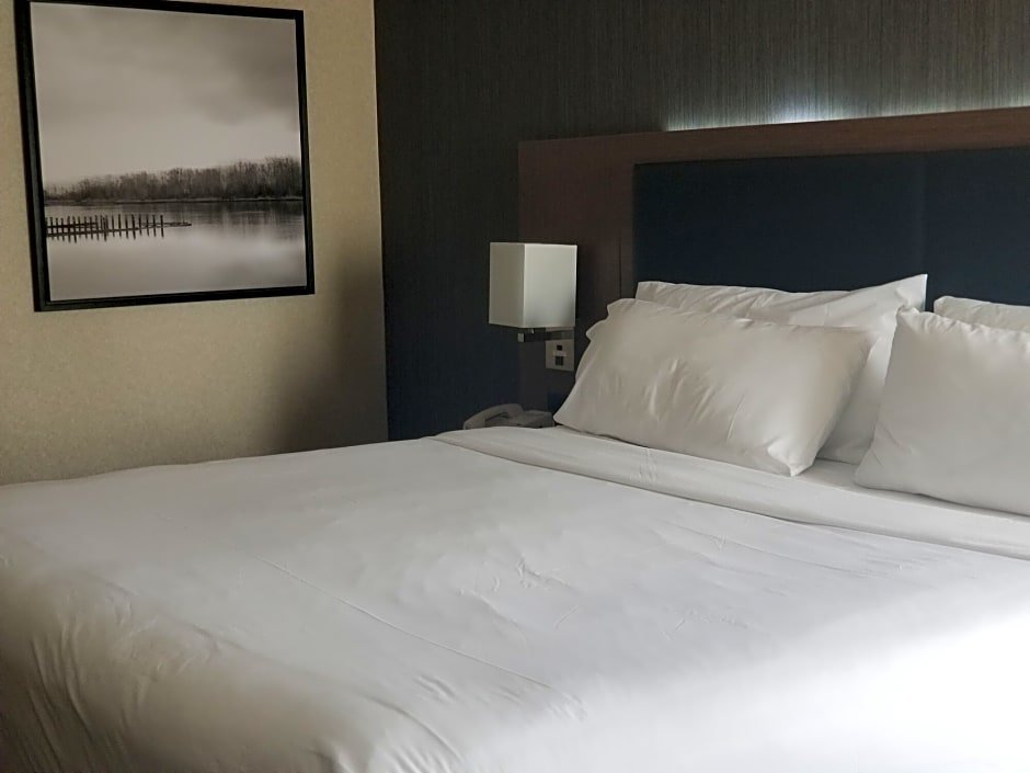 Фото Holiday Inn Express Edmonton D