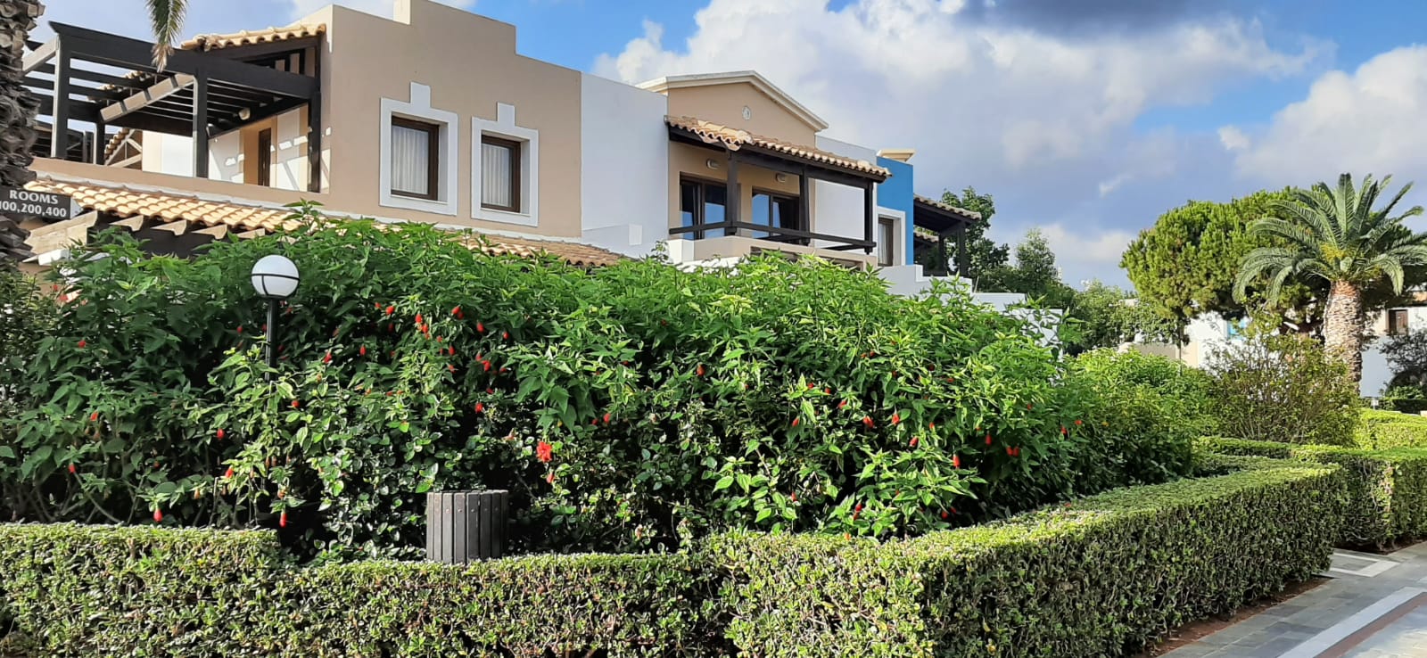 Фото Aldemar Knossos Villas