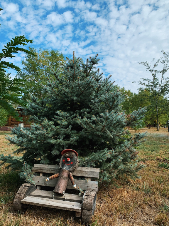 Фото Высокий берег