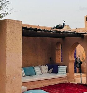 Marrakesh 6-bed Housing Authentic Berber