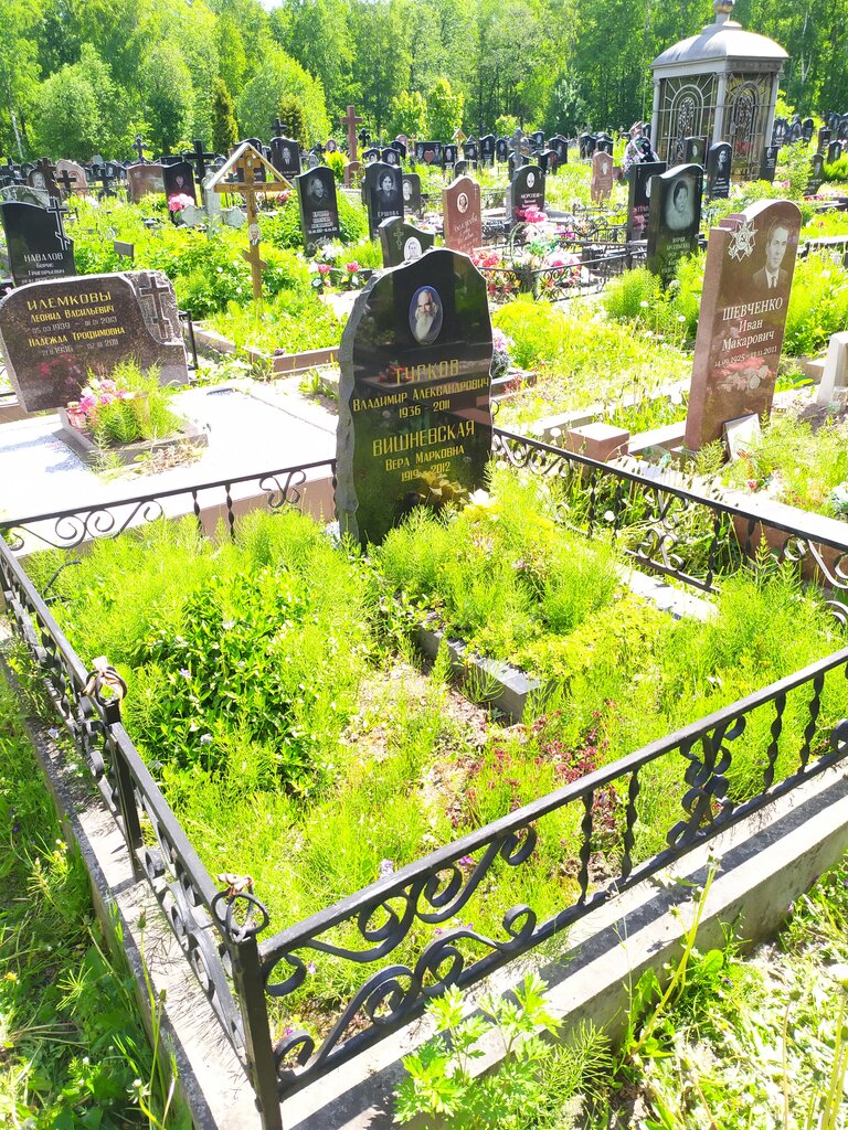 Graves of famous people Диджей Владимир Александрович Турков, Saint Petersburg, photo