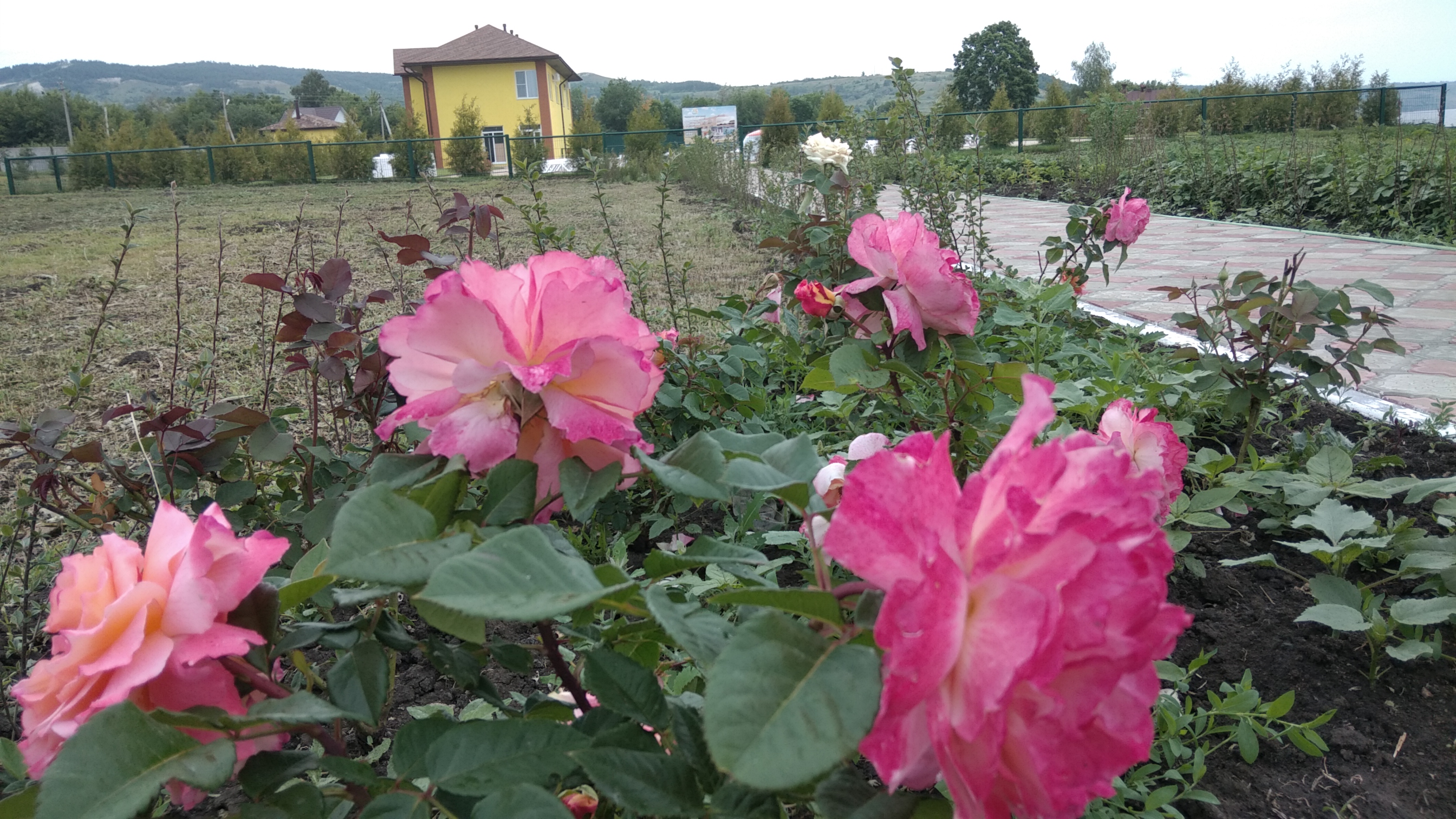 Фото Хвалынская жемчужина