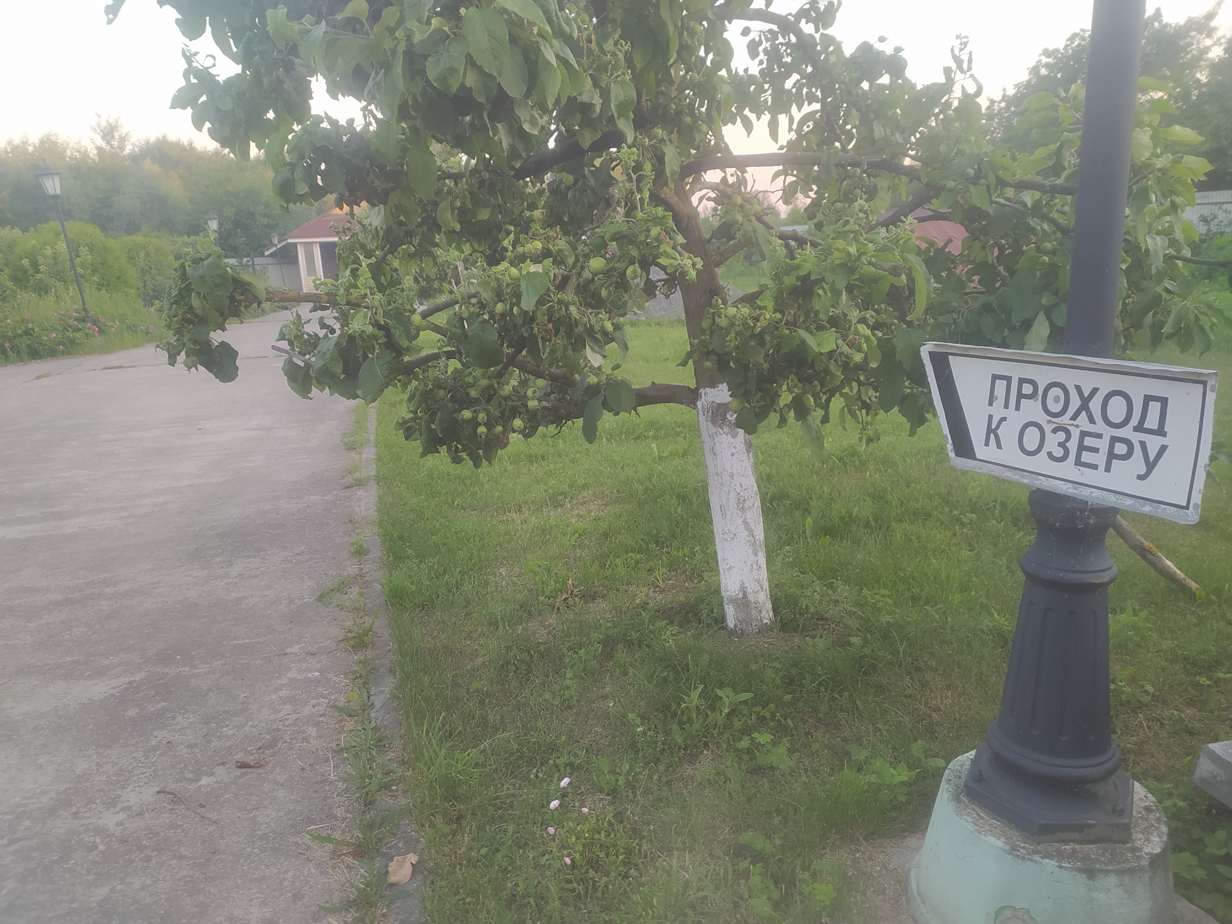 Фото Усадьба Абузерье