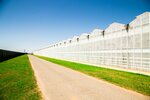 Rose line (Moscow Region, Dmitrovskiy Municipal District, Dmitrov - Orudyevo - Zhukovka, 4-y kilometr, 63с1), greenhouse