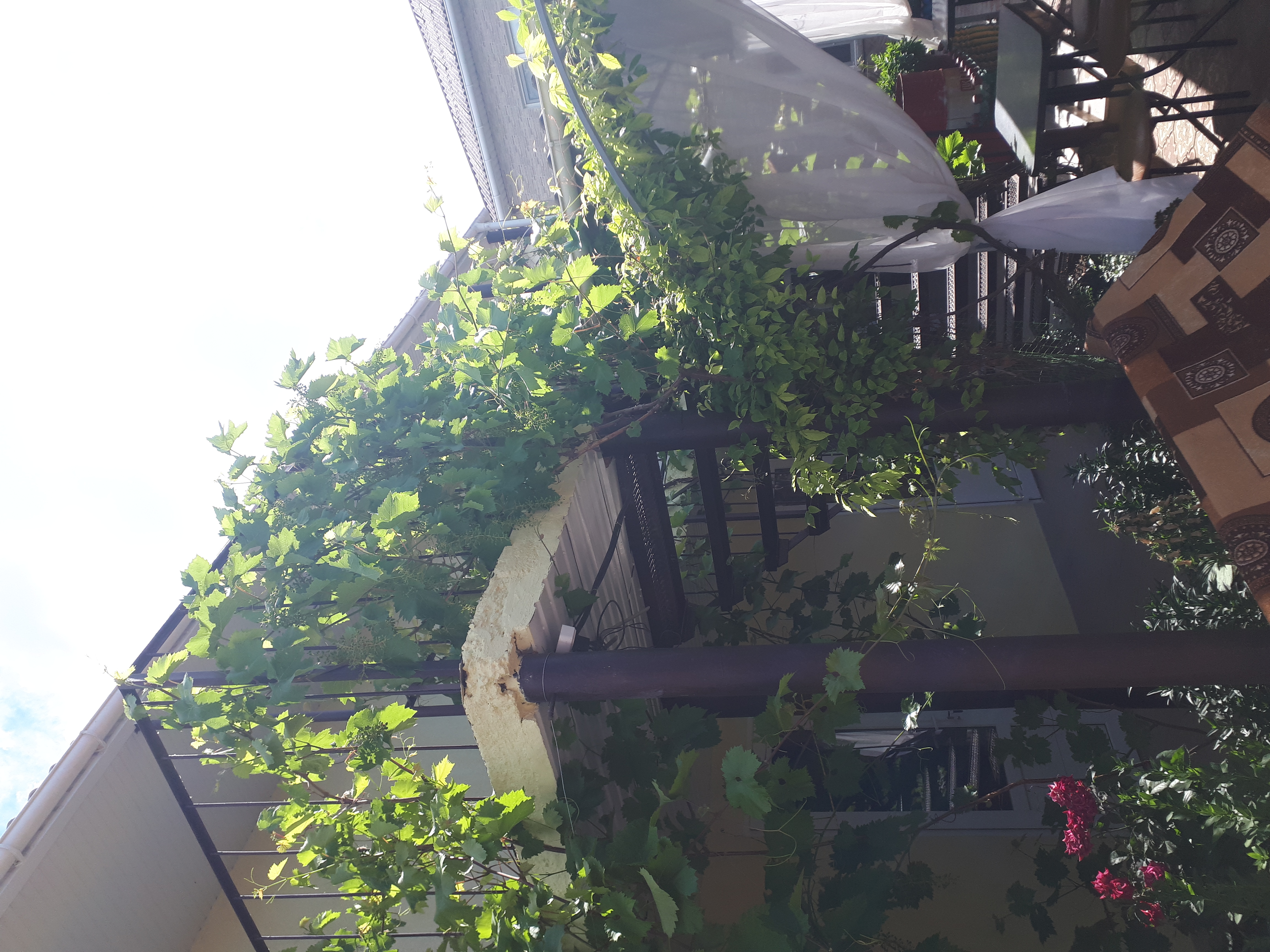 Фото У Петровича