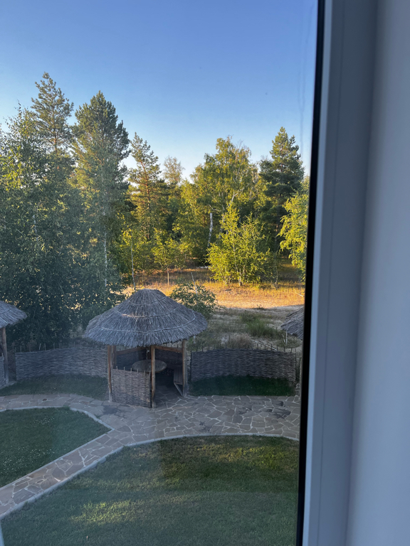 Фото Лесная