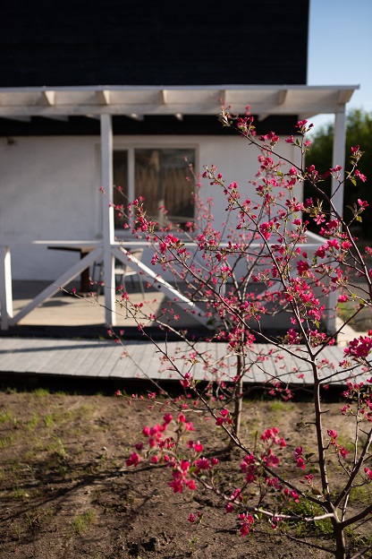 Фото Клубный дом Идрисов