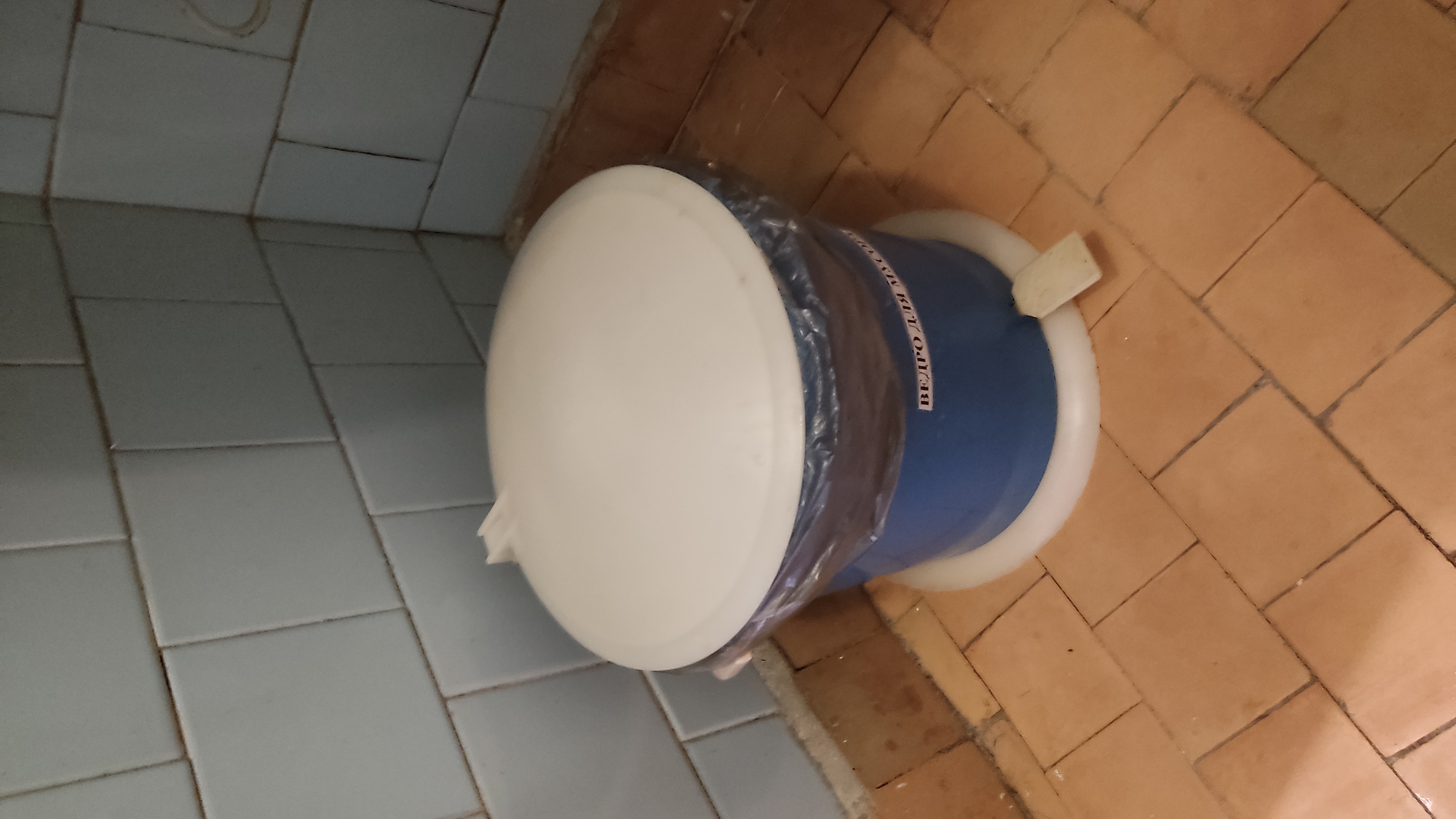 Фото Лесная