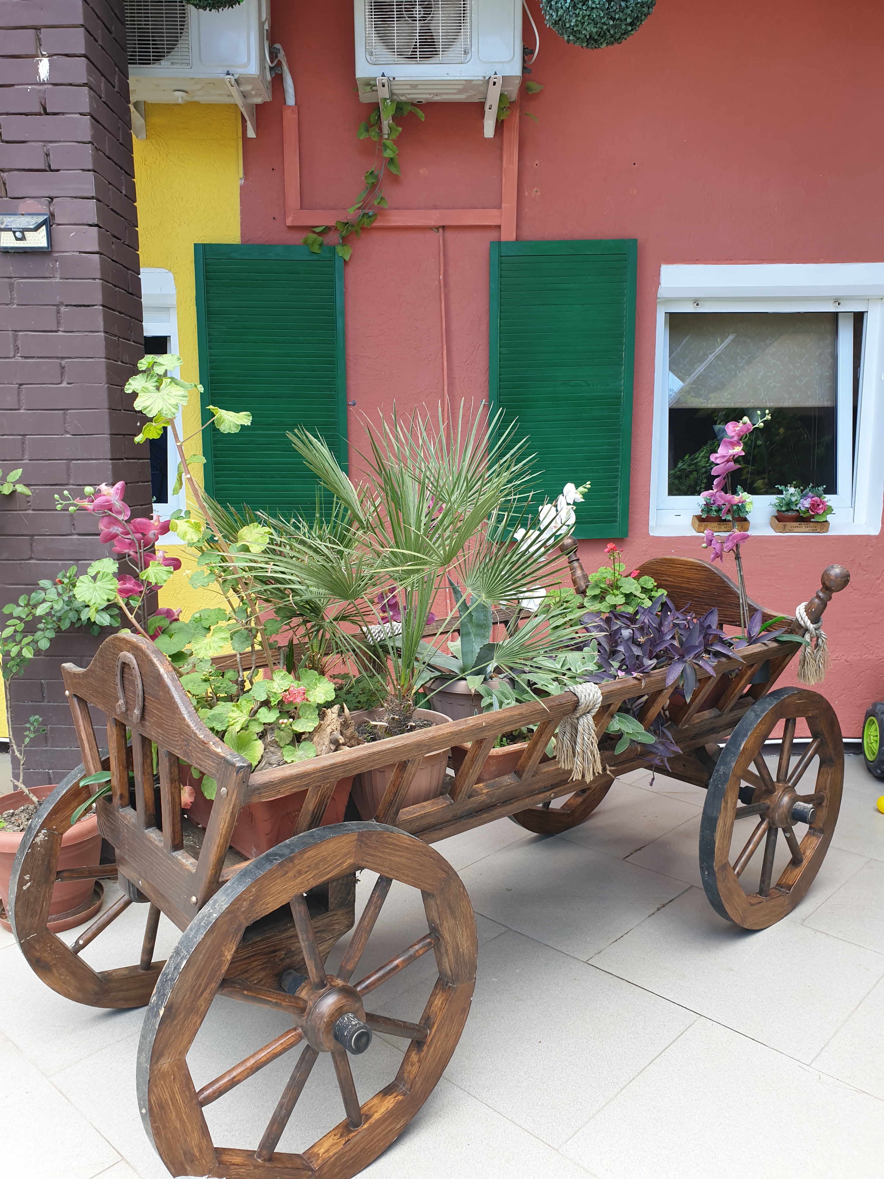 Фото Сальвадор