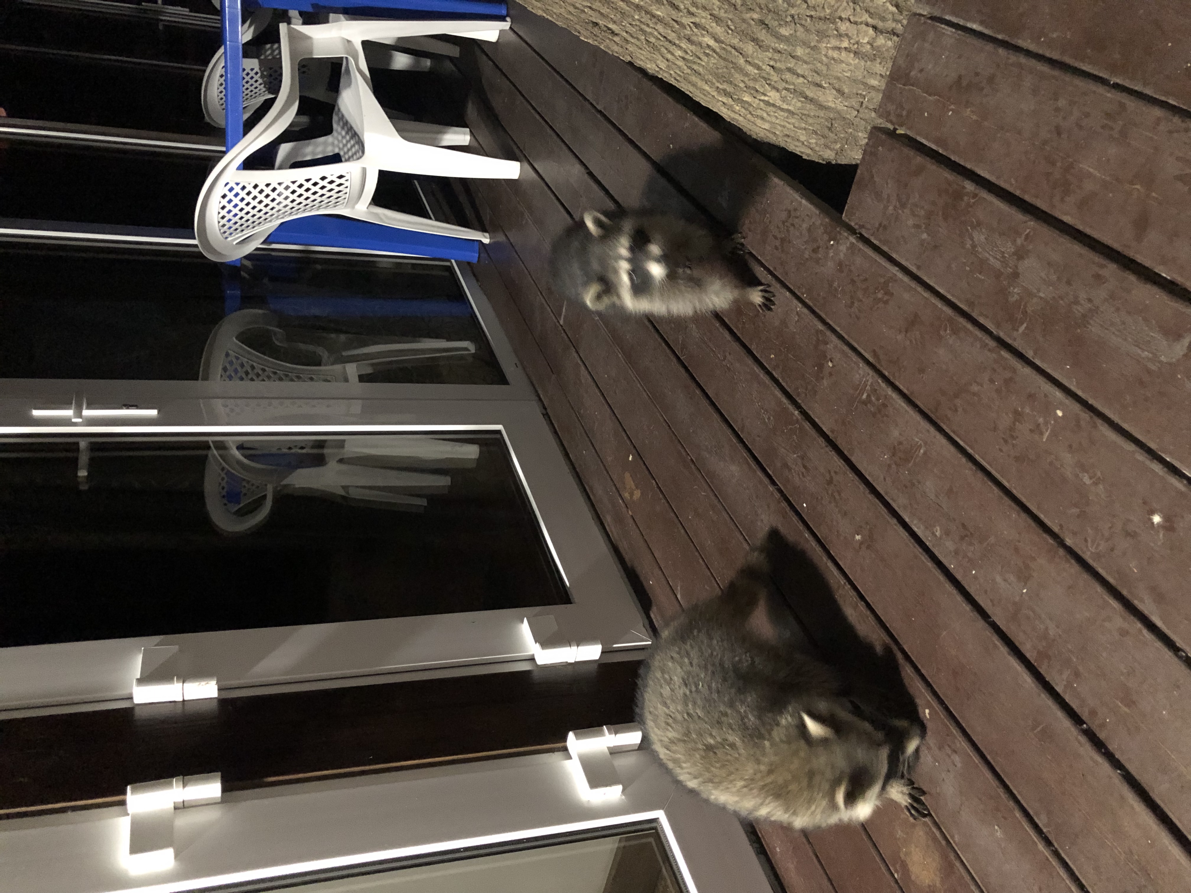 Фото Ручеек