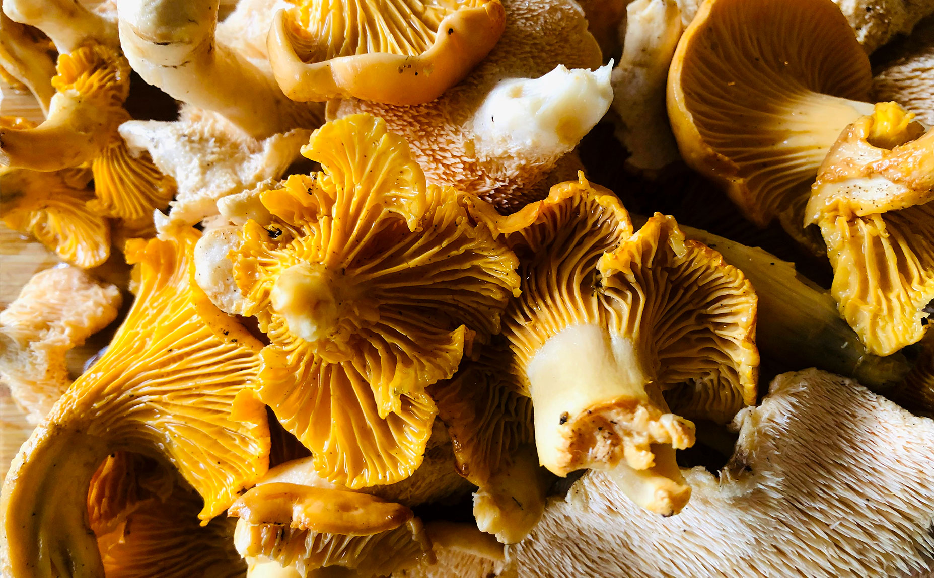 Фото Усадьба Большой Камень