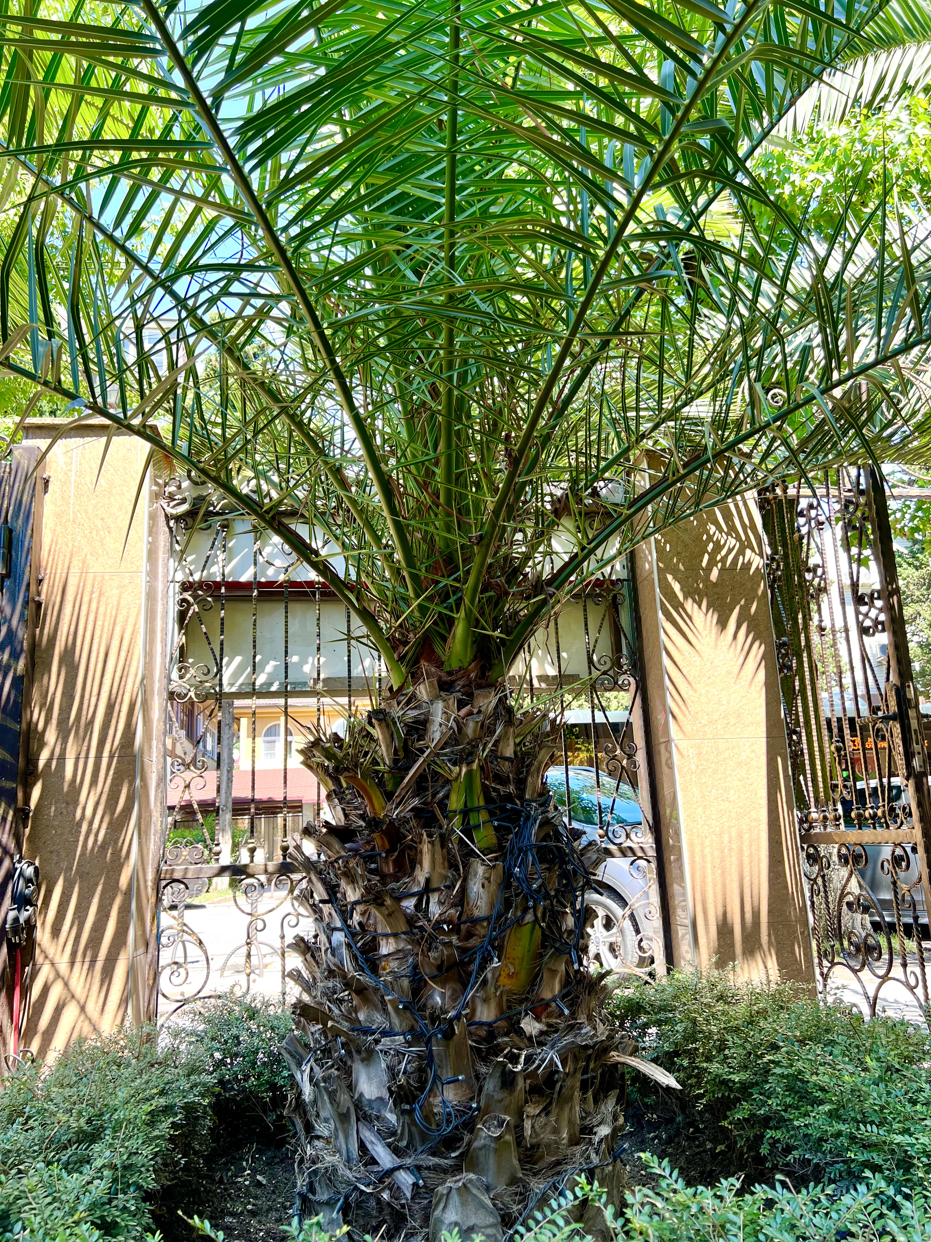 Фото Надежда