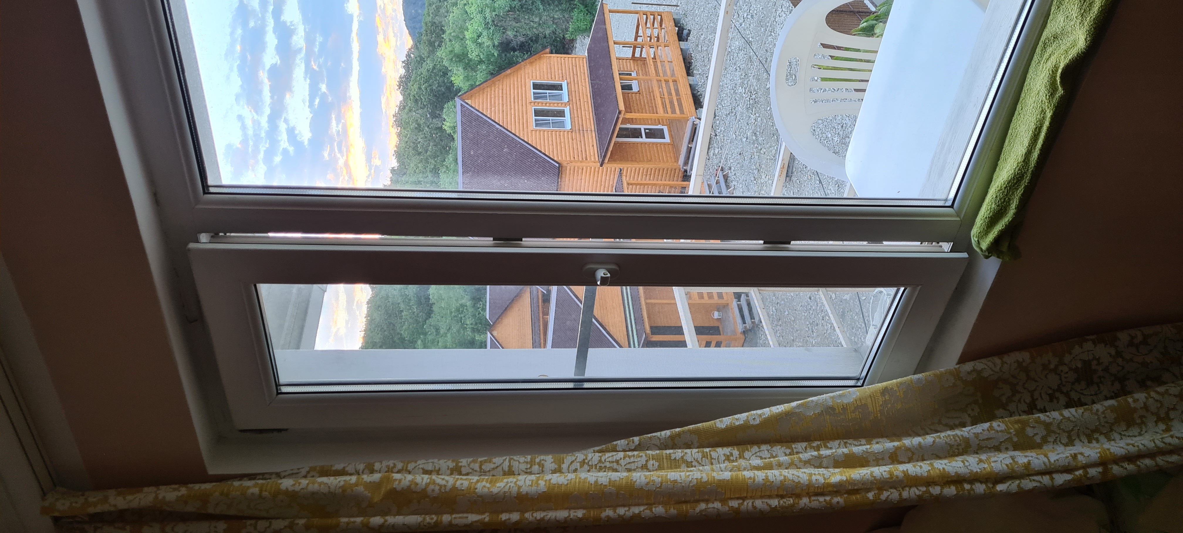 Фото Дельфин