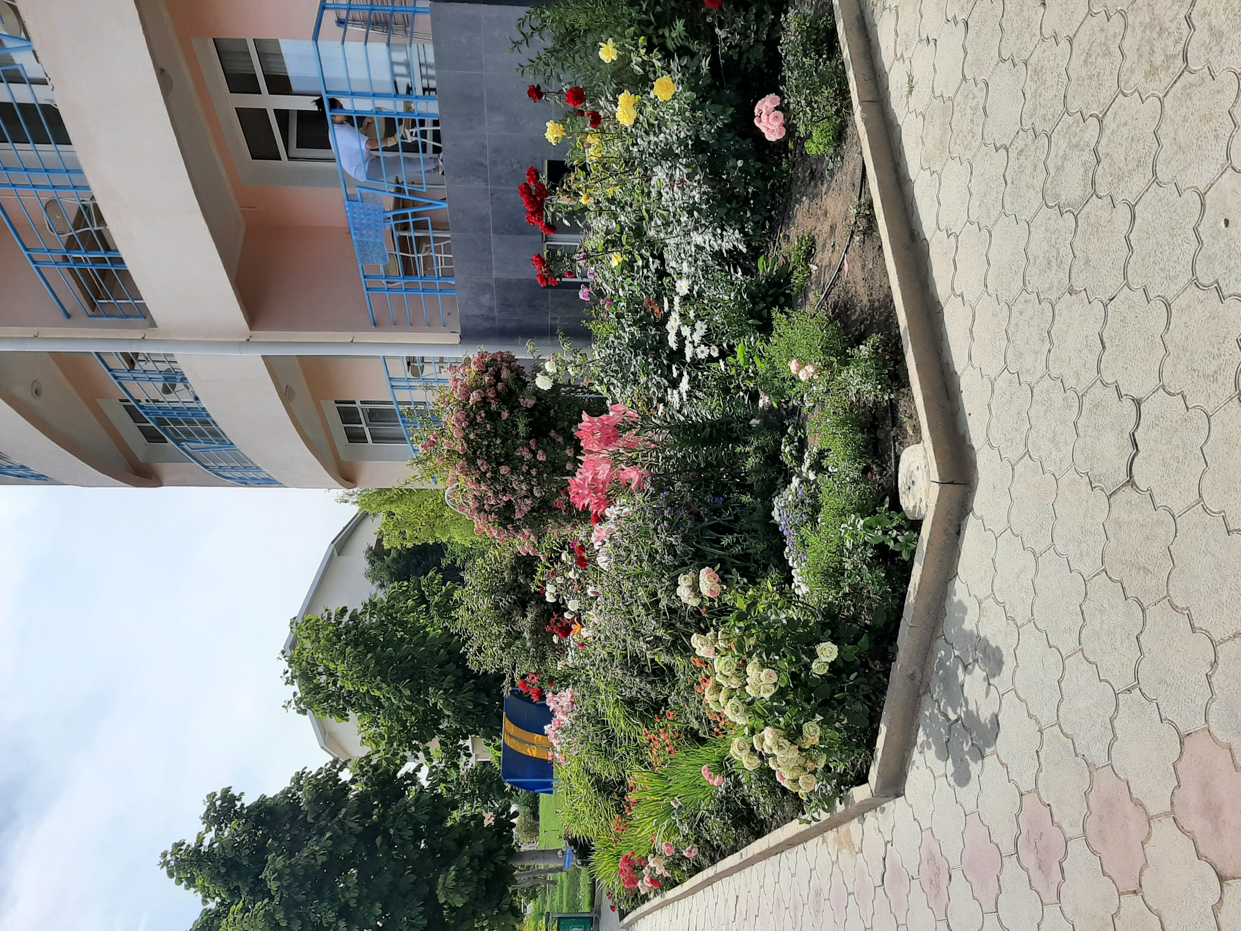 Фото Три Короны