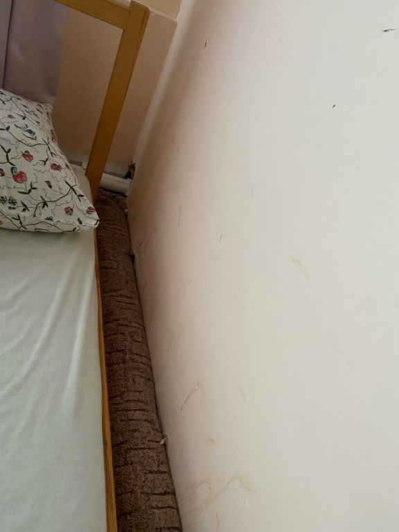 Фото Пшеничникофф