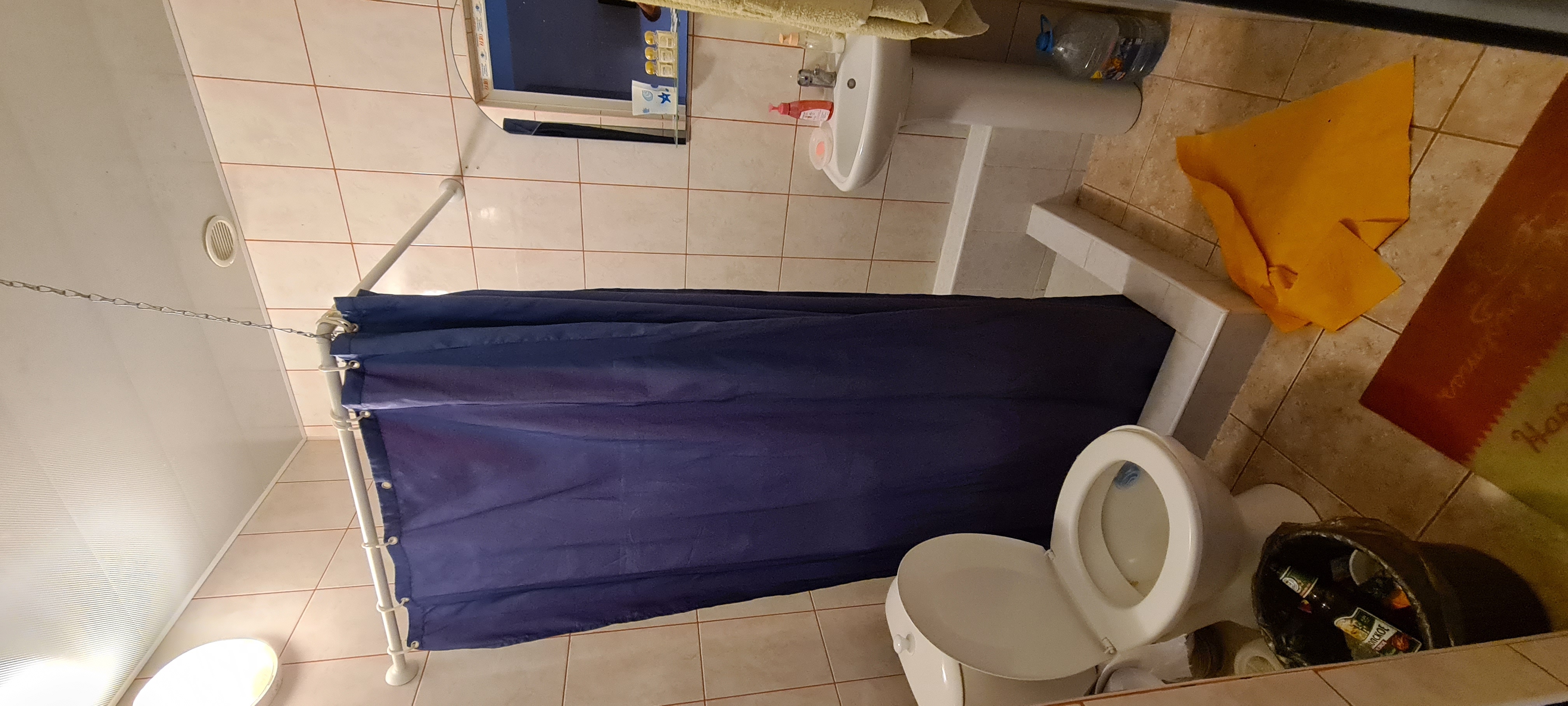 Фото Дельфин