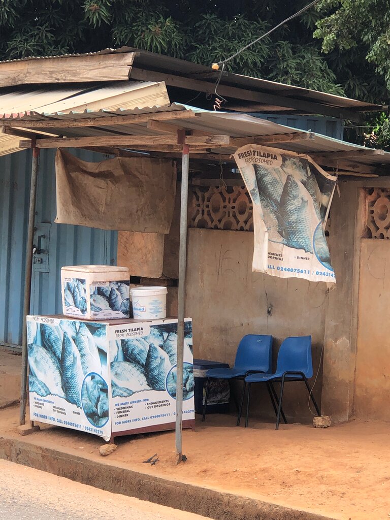 Fish and seafood Fresh Tilapia, Earth, photo