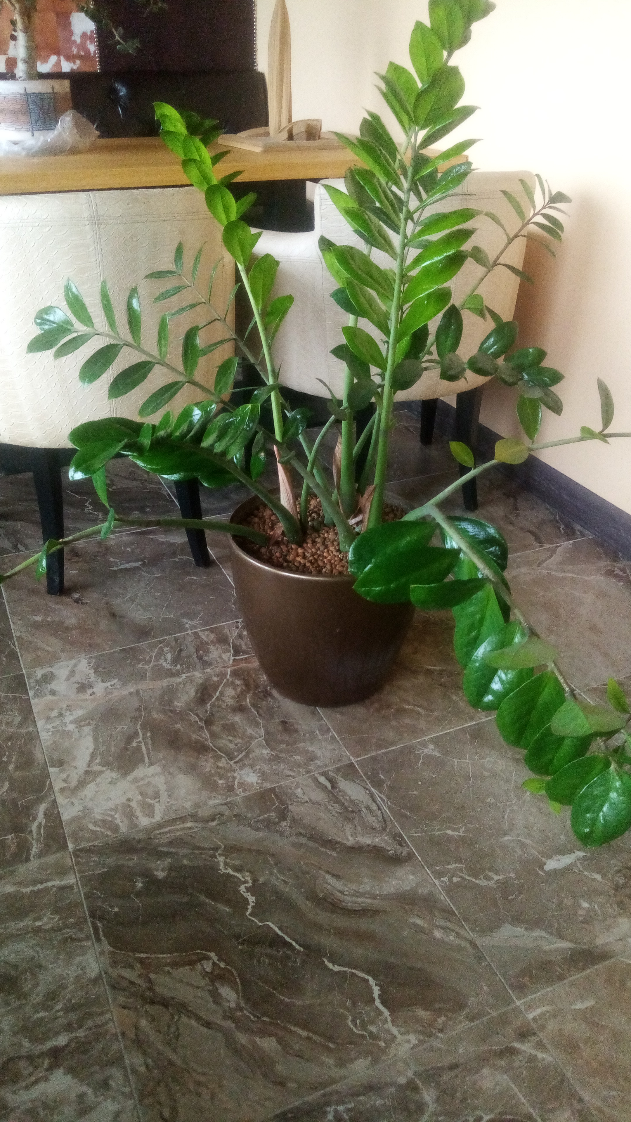 Фото Магнум