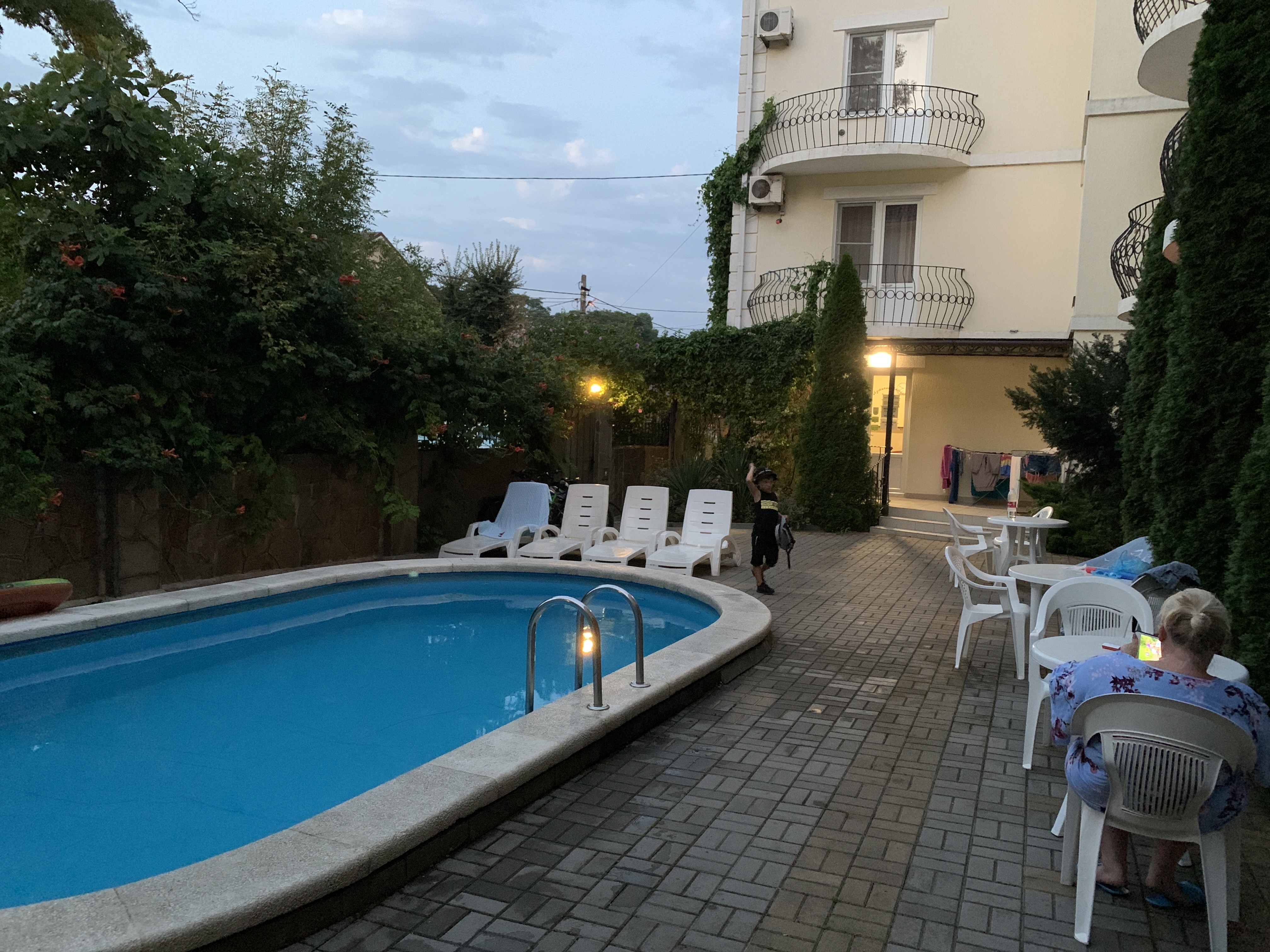 Фото Золотой Каштан