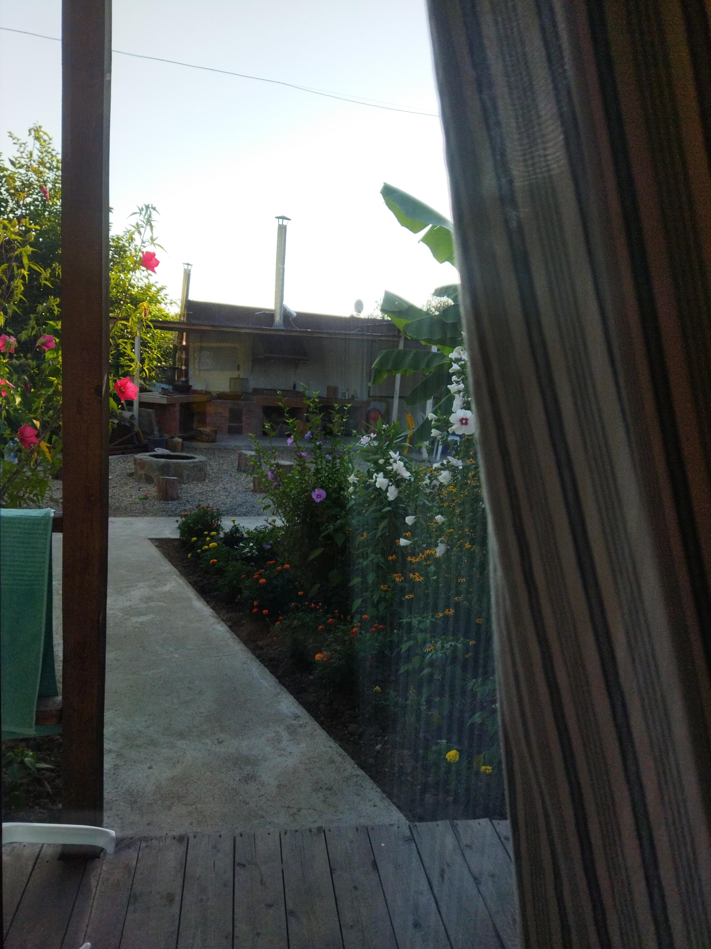 Фото Биг Фиш