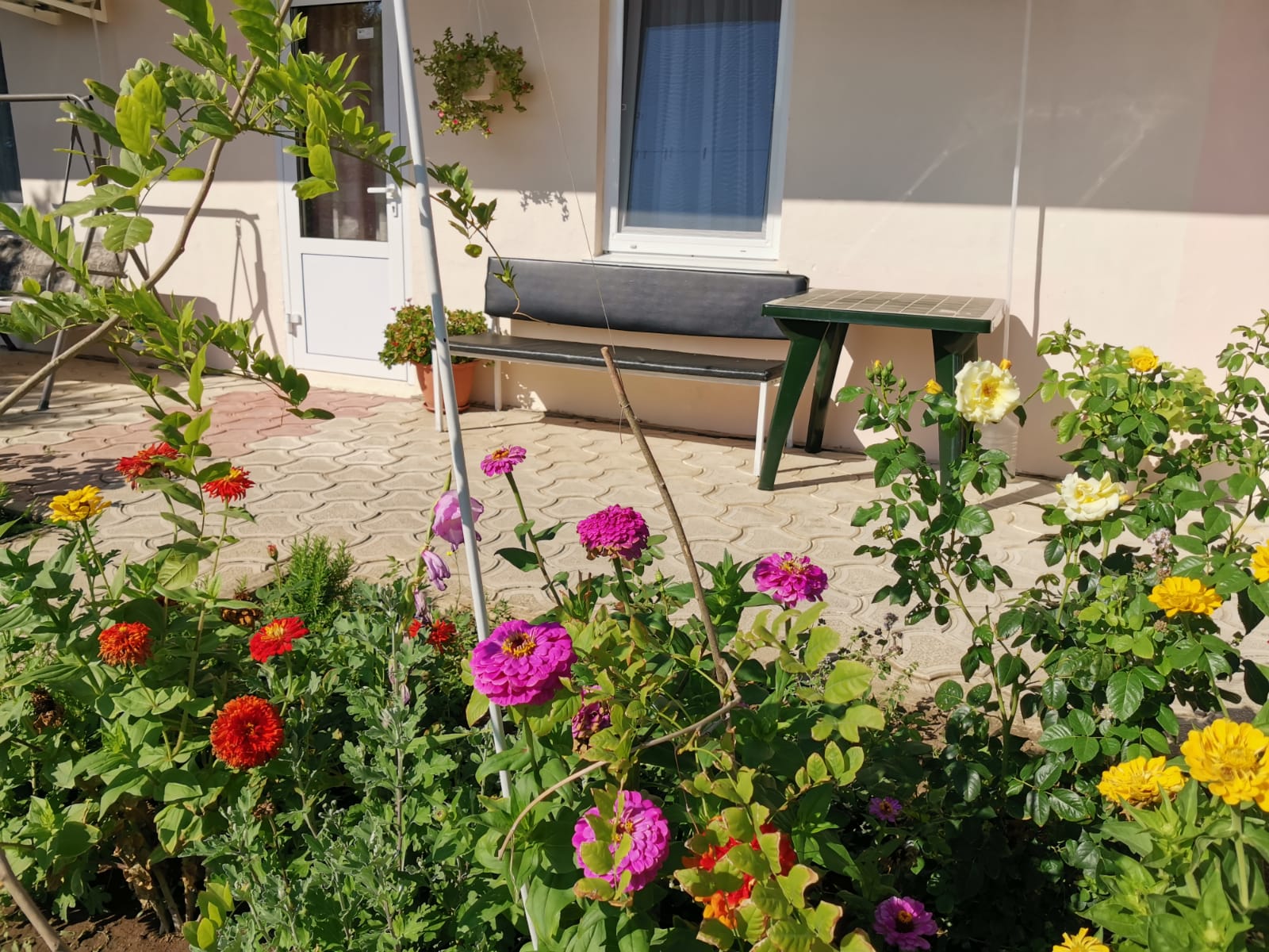 Фото Лонисера