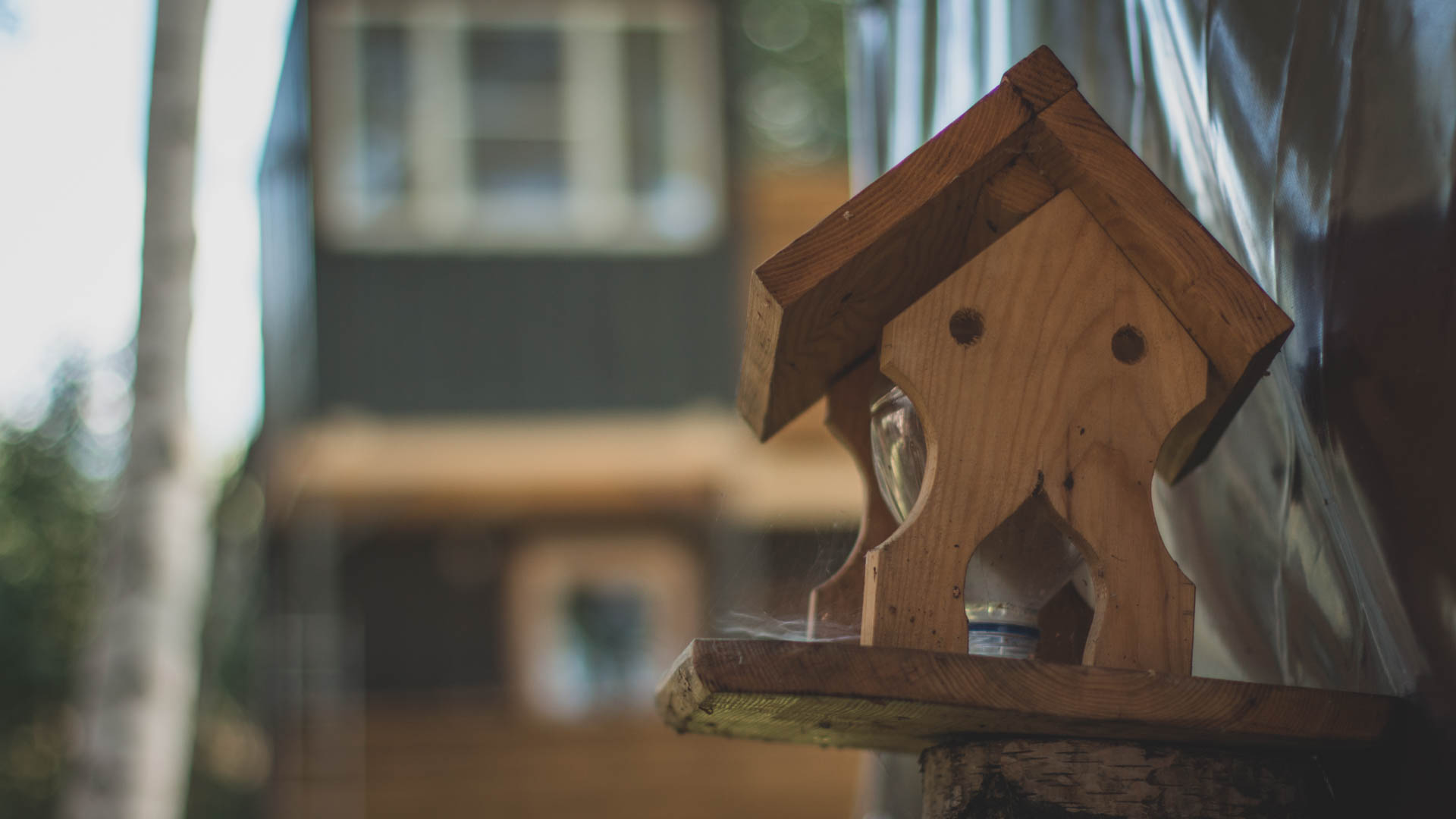 Фото Высокий берег