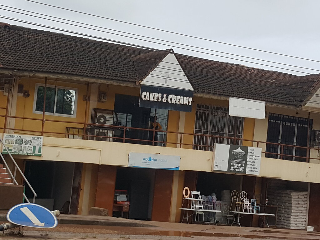 Organization and maintenance of exhibitions Viorentals, Earth, photo