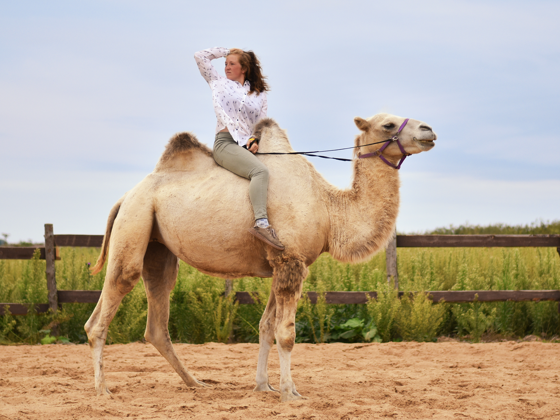 Фото Вдохновение