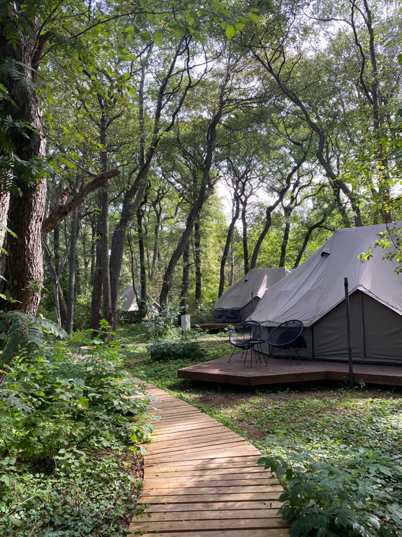 Фото Polyana Glamping