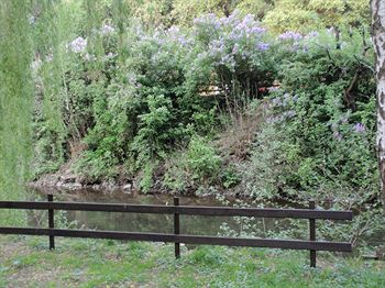 Фото Hotel du Commerce