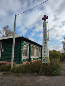 Pharmacy (Donino Hamlet, Tsentralnaya Street, 114), landmark, attraction