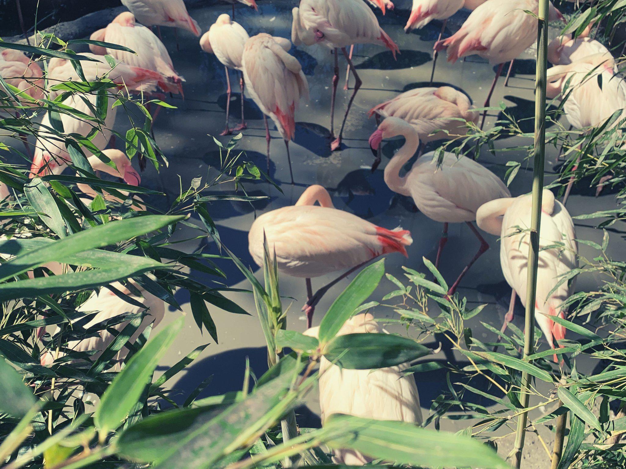 Фото Holiday Inn Salzburg City, an Ihg Hotel