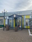 Pennaya Krujka (Smolenskaya Street, 182), cafe