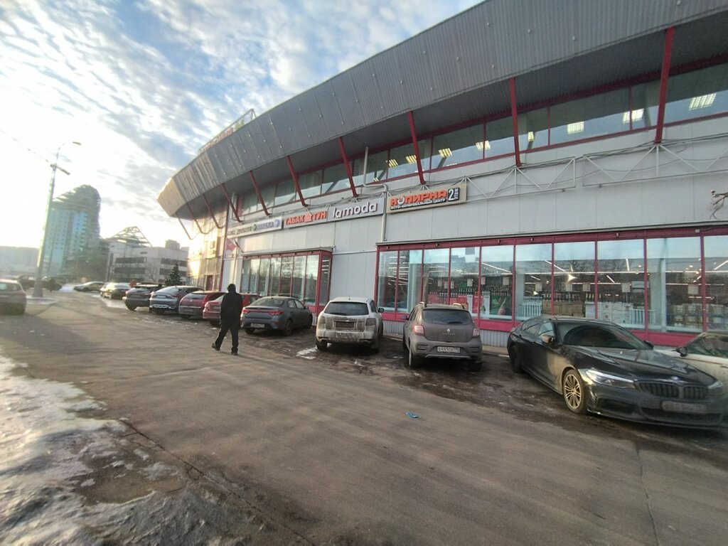 Contact lenses Linzy Tut, Moscow, photo