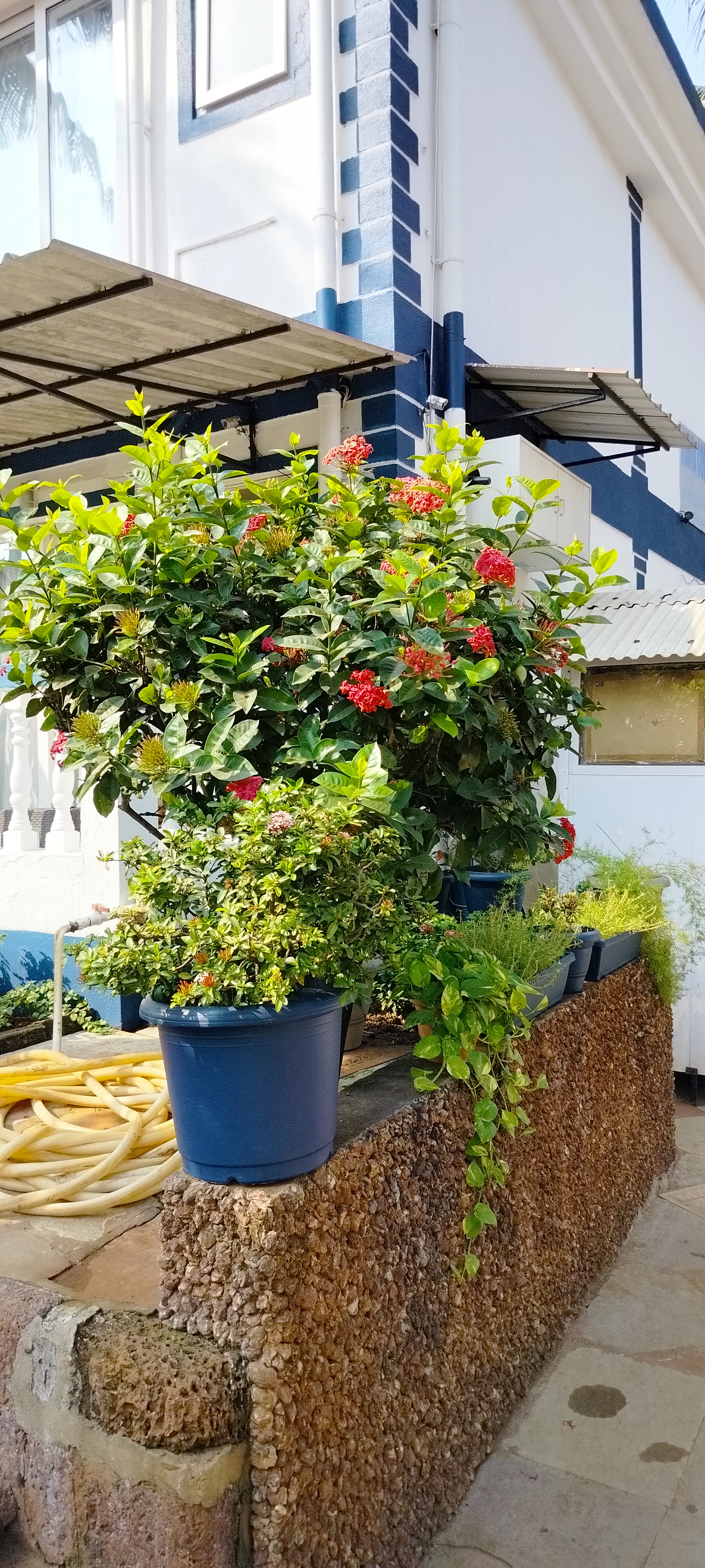 Фото Santana Beach Resort