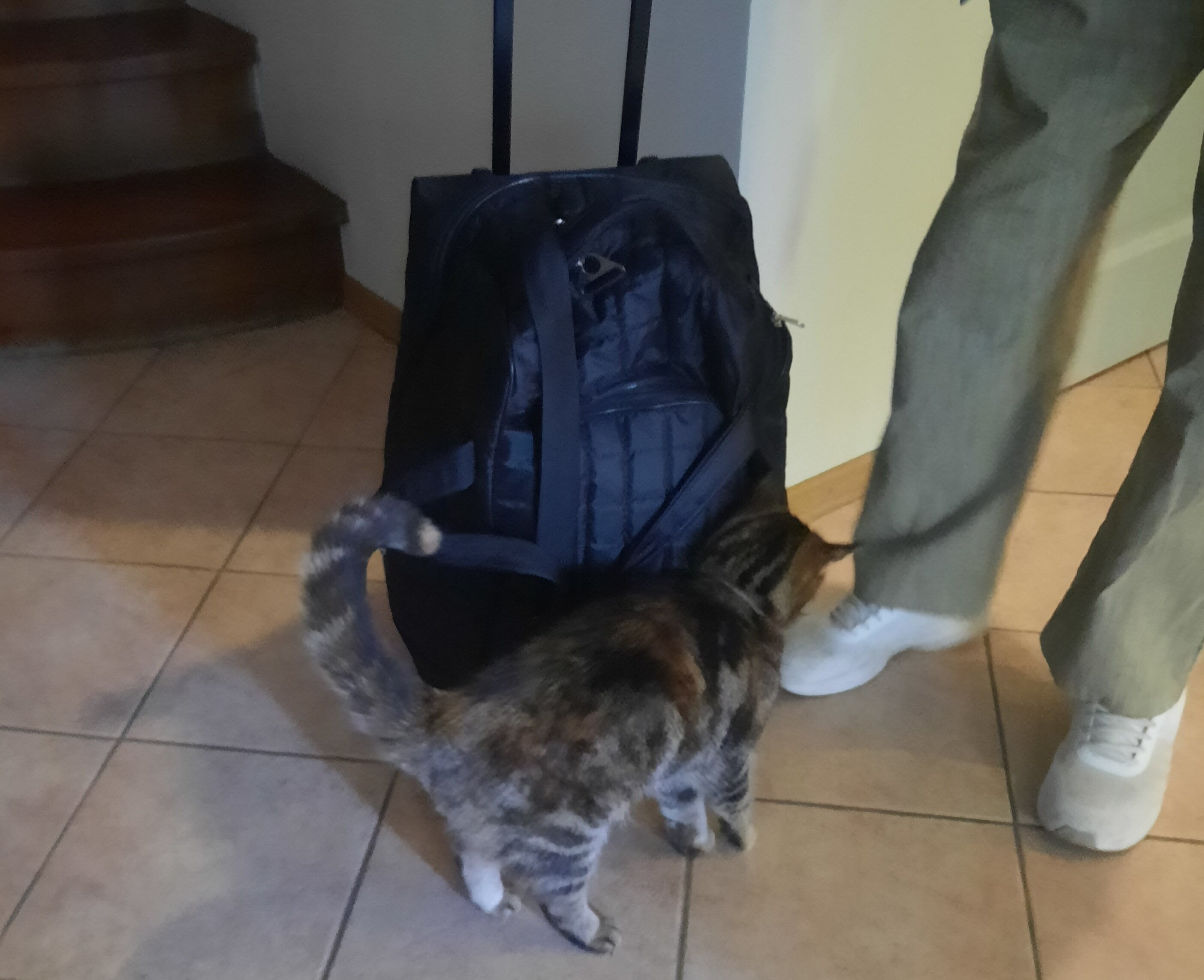 Фото Добрыня