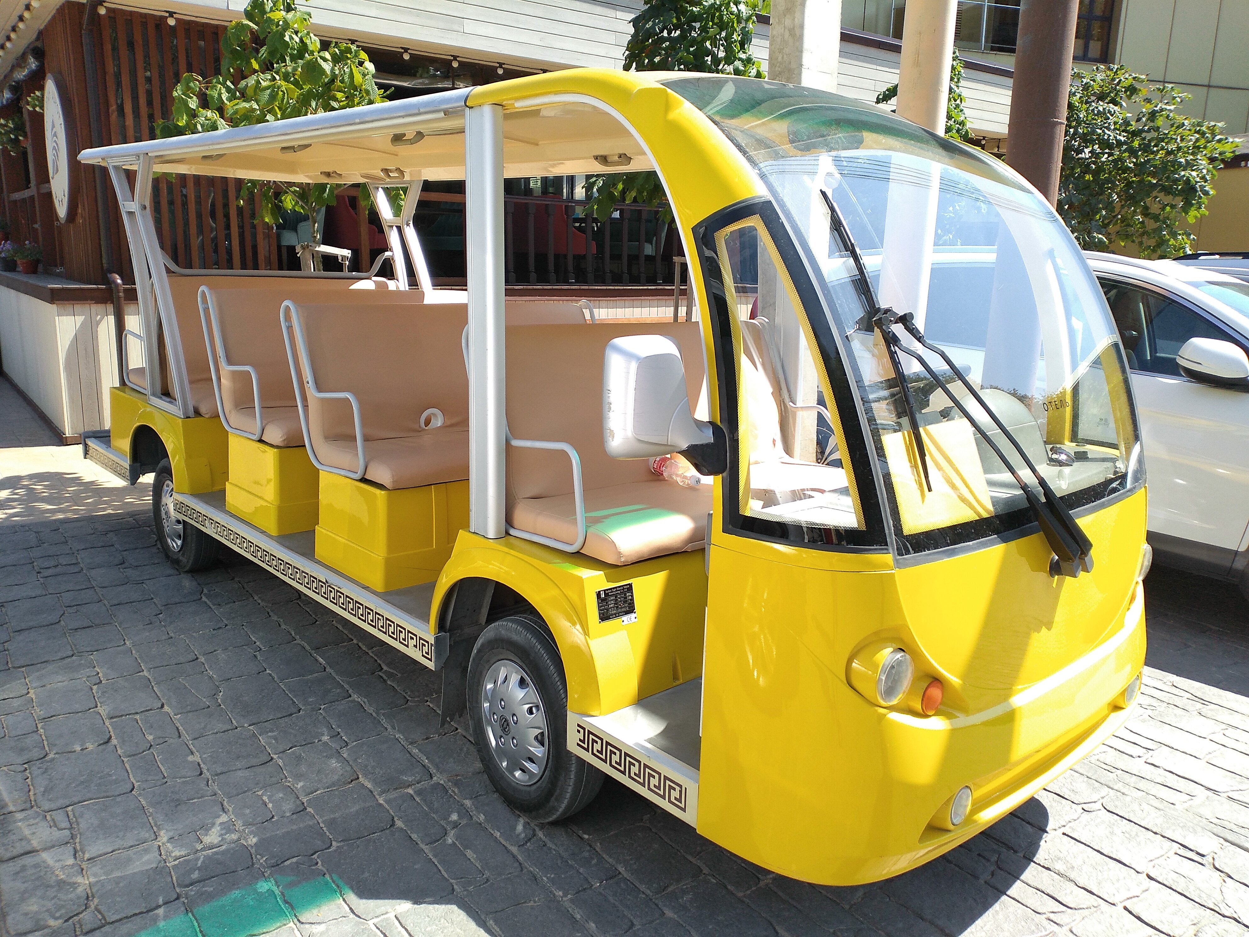 Фото Аврора