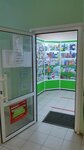 Здоровье плюс (Vladimir, Dobroselskaya Street, 201), pharmacy