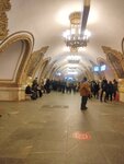 Киевская (Москва, Кольцевая линия, метро Киевская), станция метро в Москве