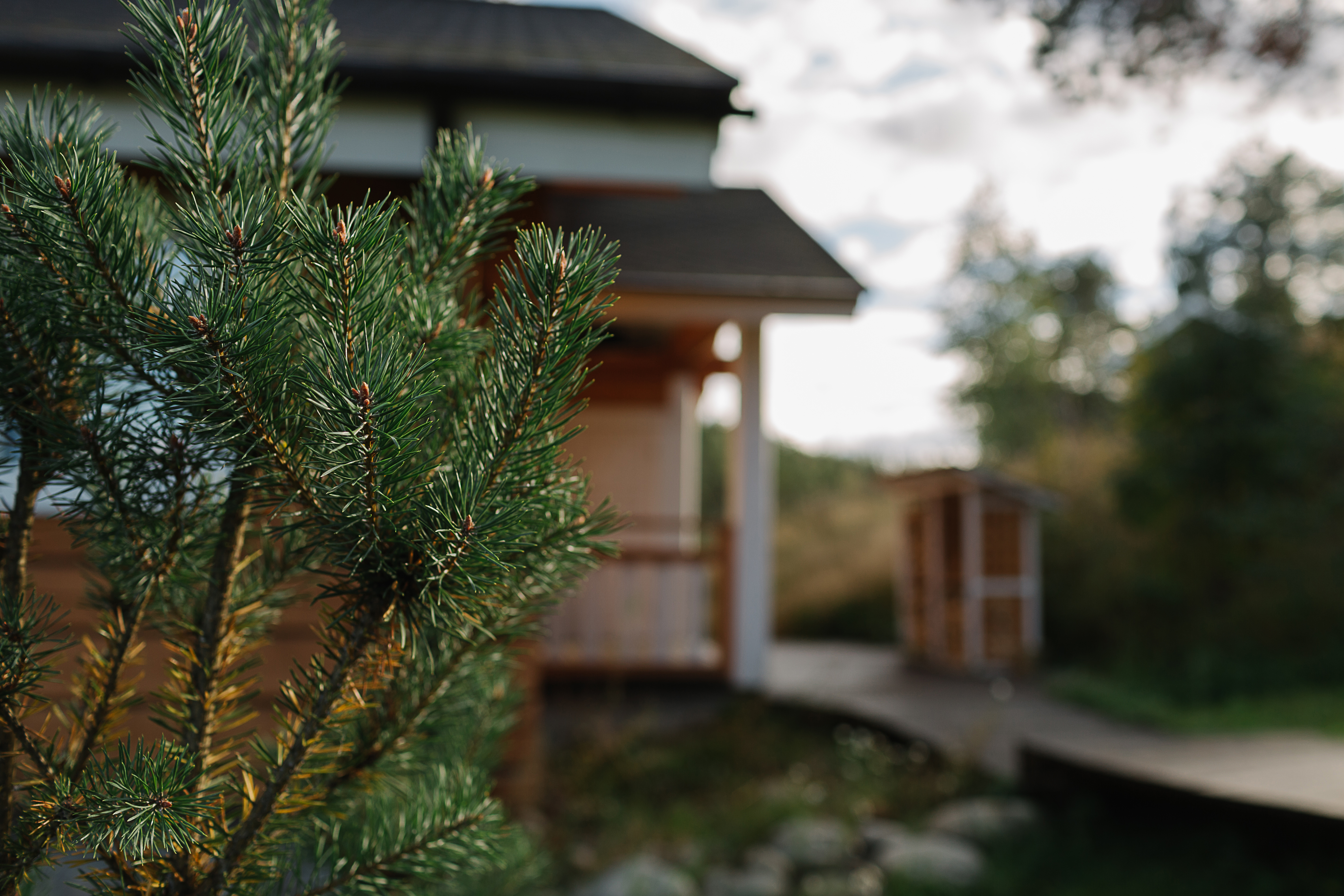 Фото Forrest Lodge Karelia