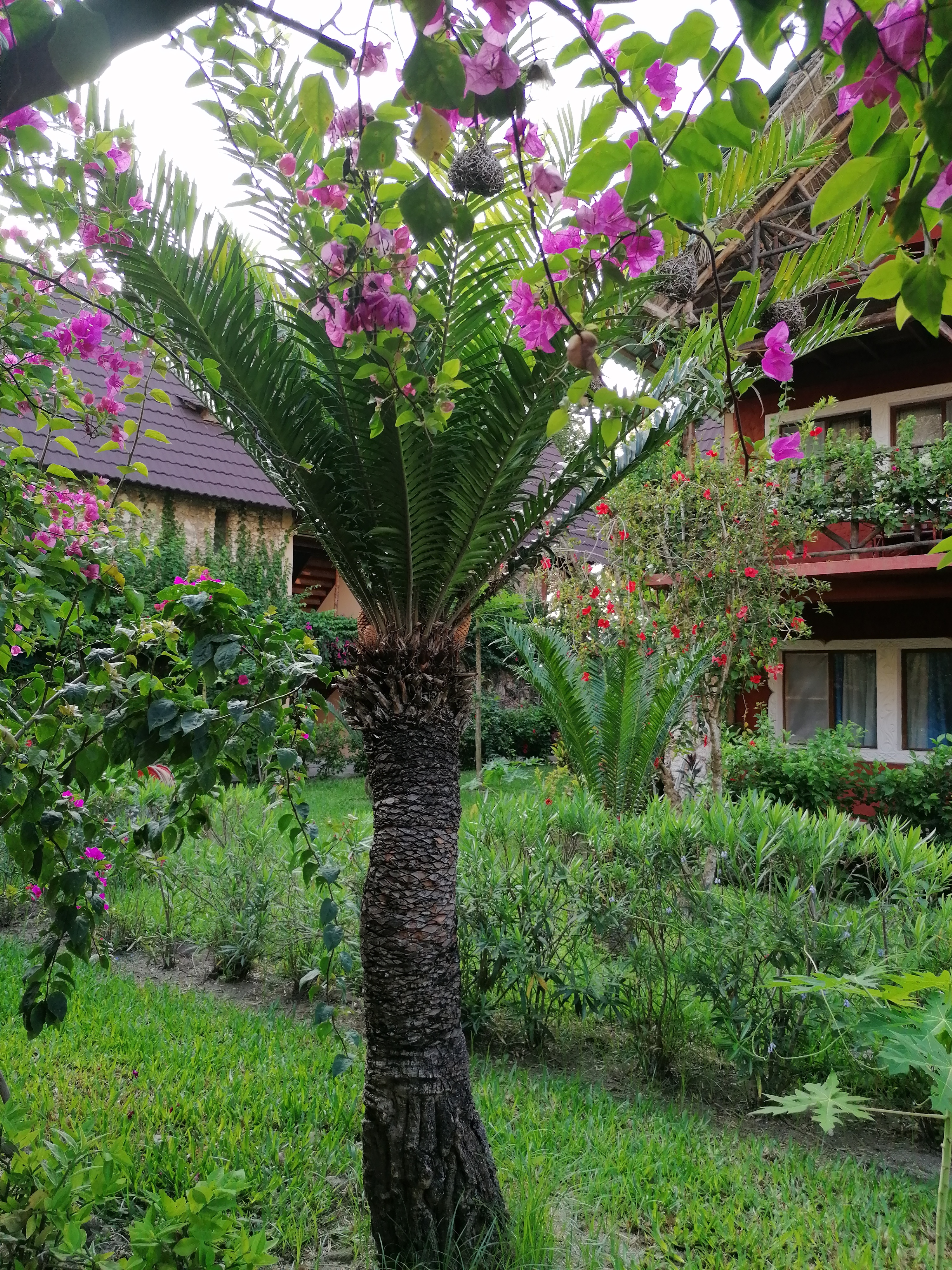 Фото PalumboReef Beach Resort Zanzibar