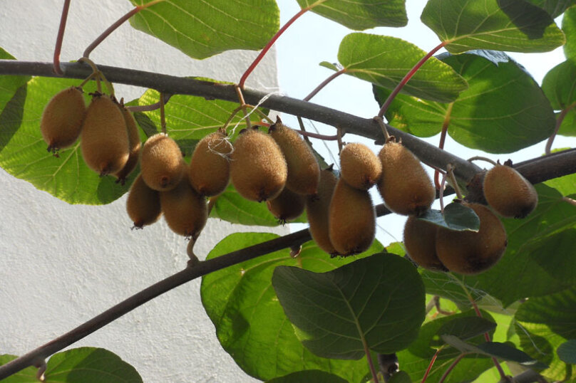 Фото Мишель