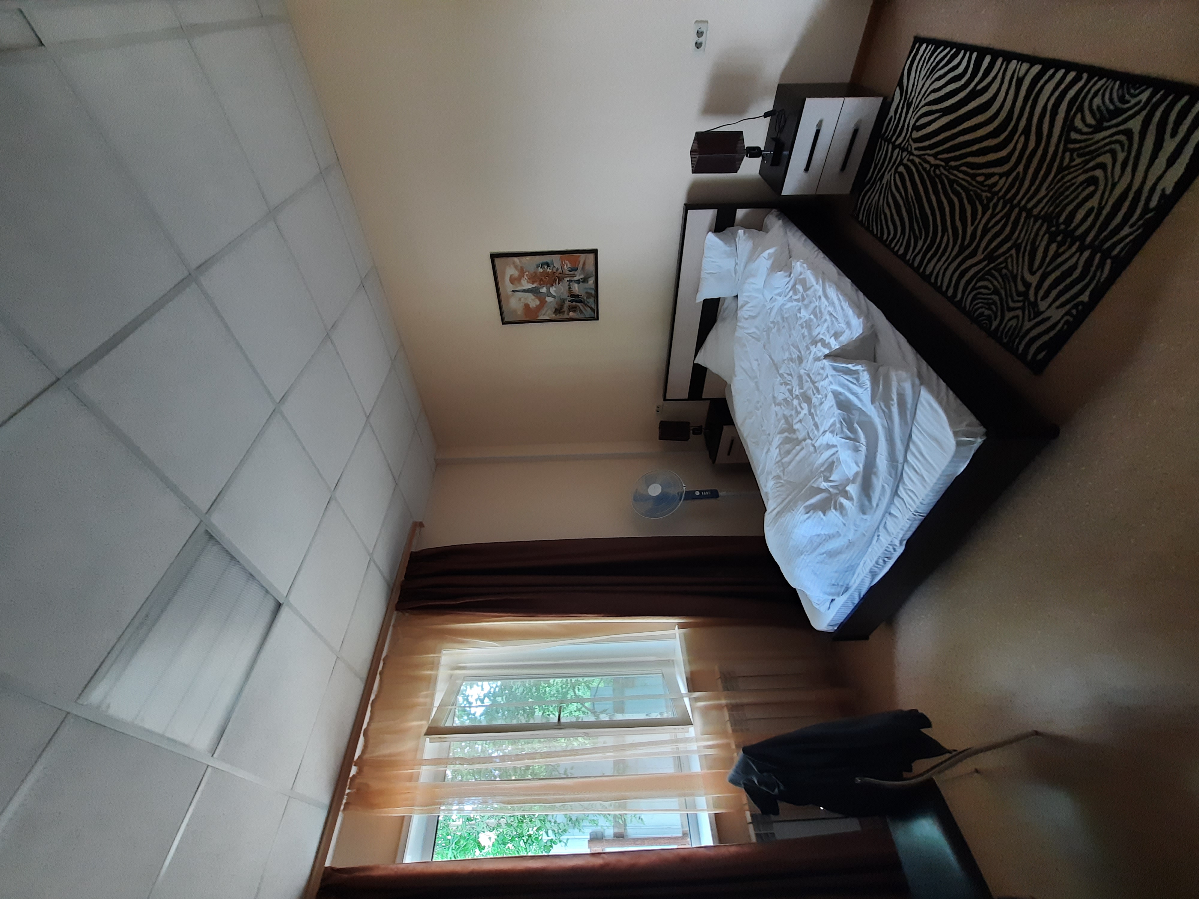 Фото Сафари