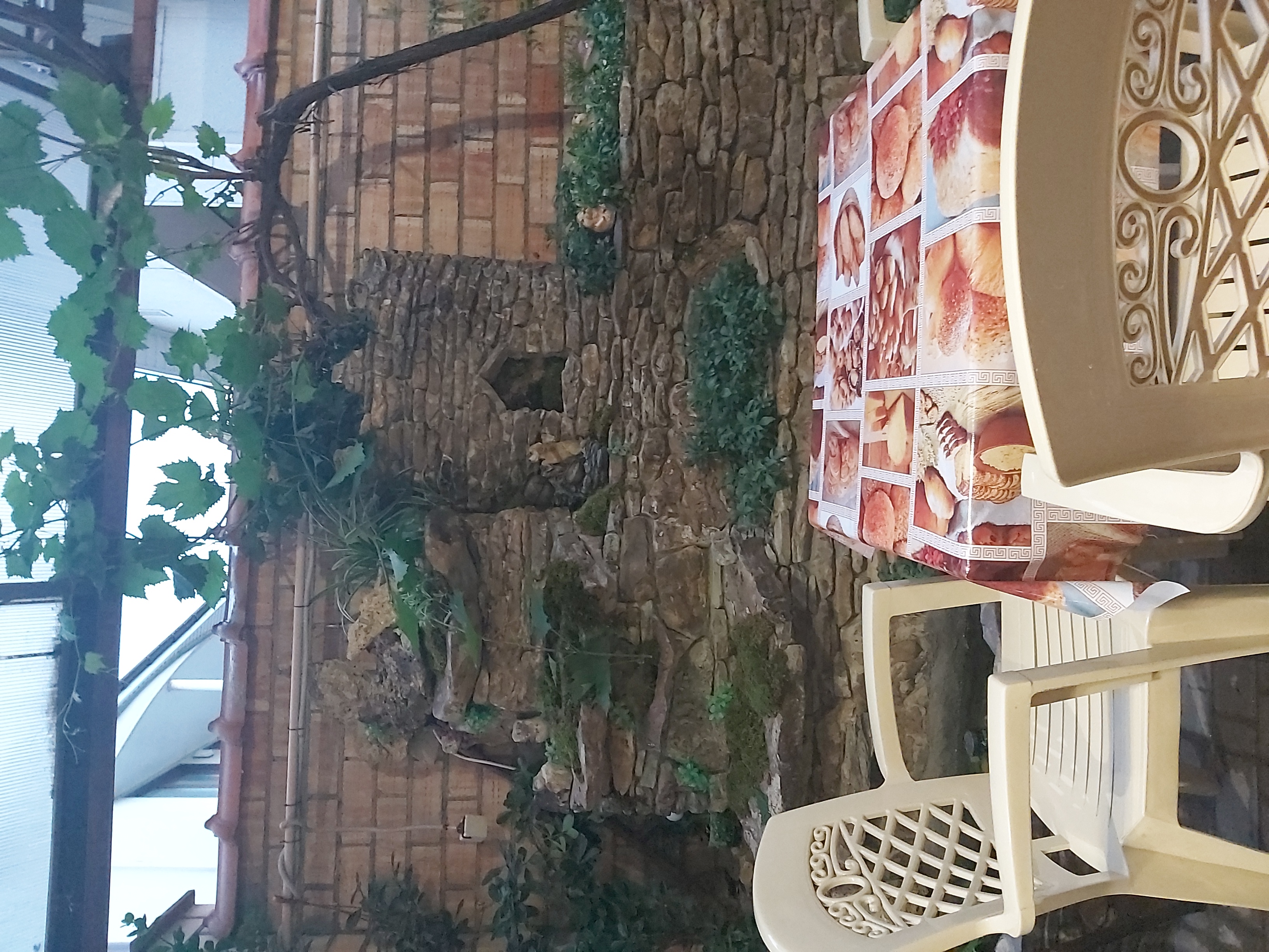 Фото Терраса 28