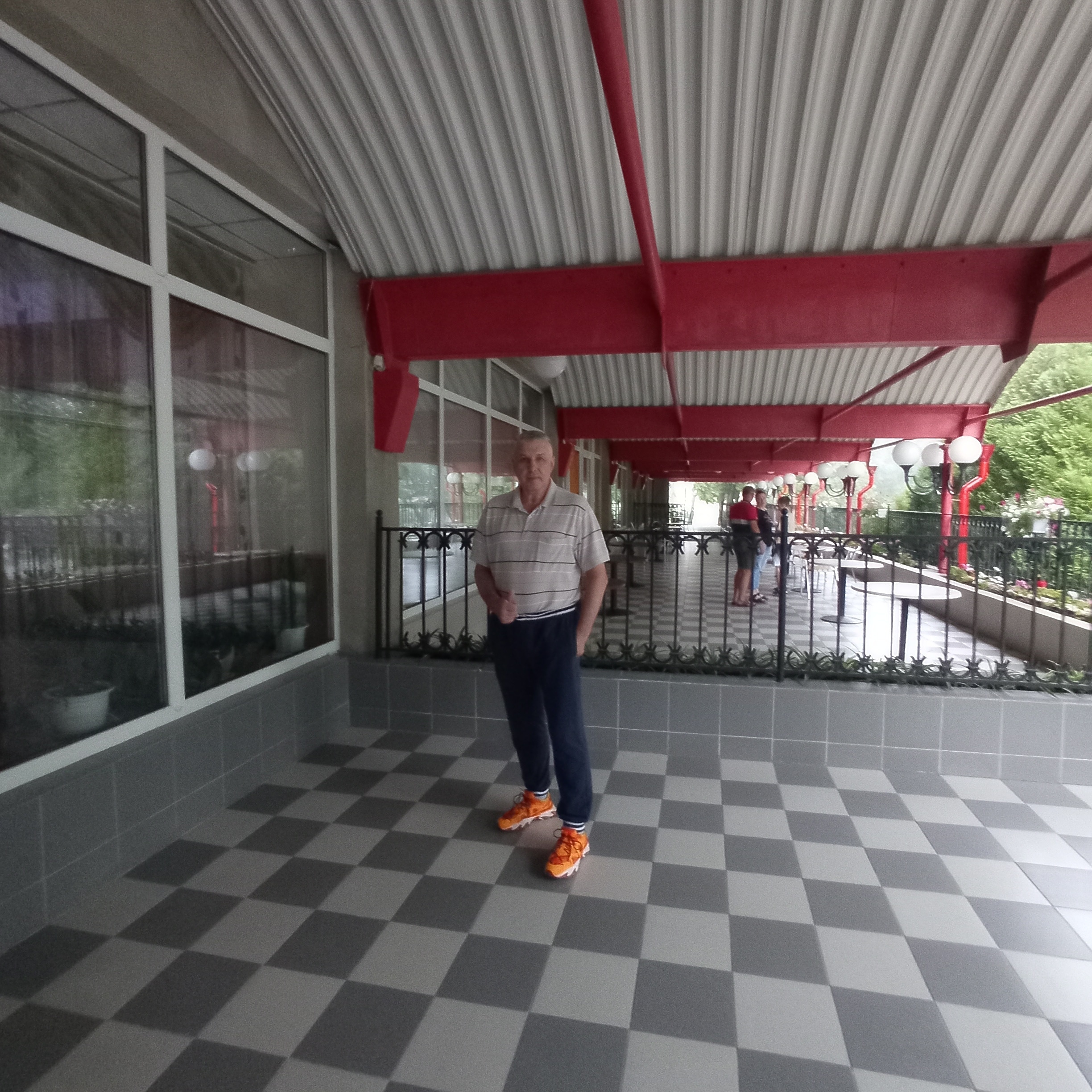 Фото Лебедь